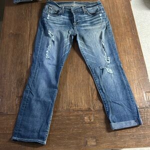 Seven for All Mankind Josephine Skinny 29